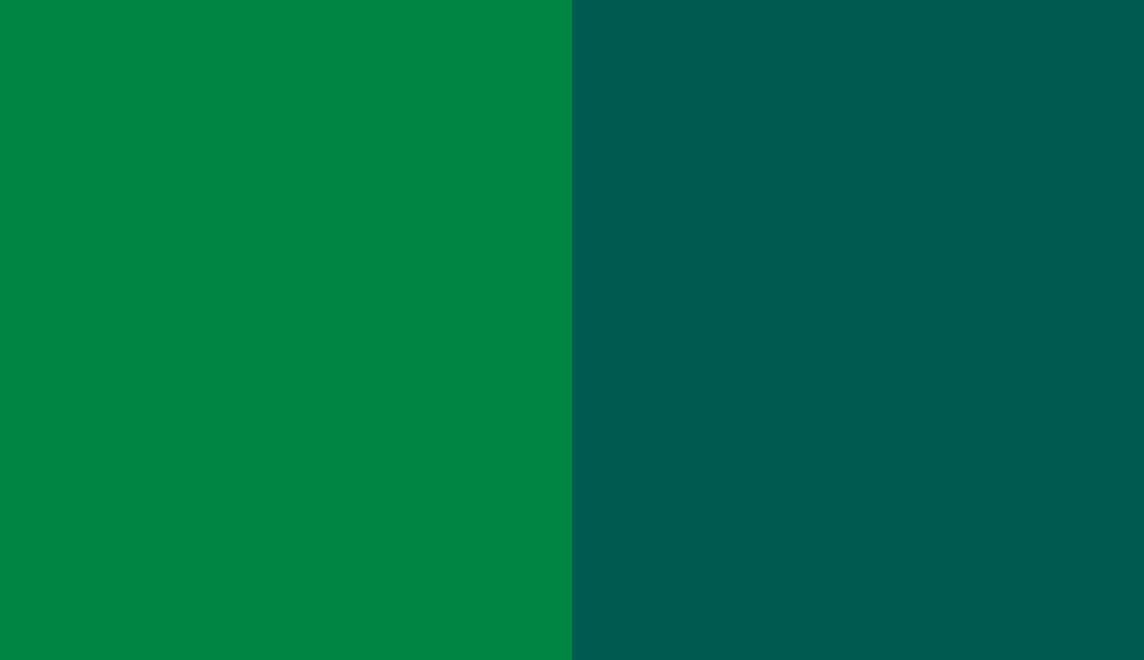 Colors PANTONE 348 C and Pearl opal green (RAL 6036) side by side