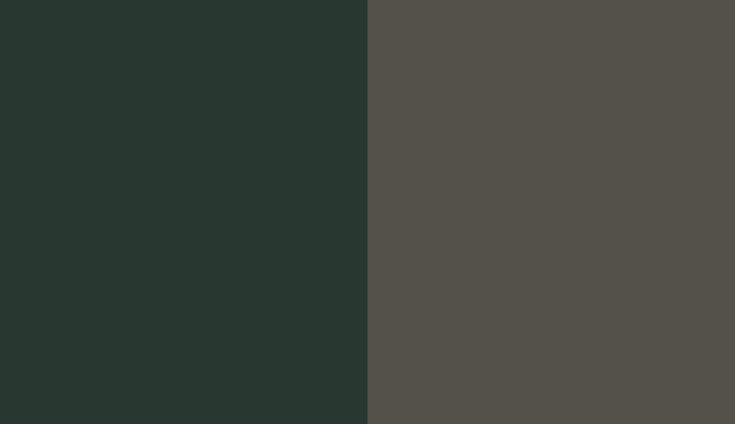 Colors Essex Green (HC-188) and Urbane bronze (SW 7048) side by side