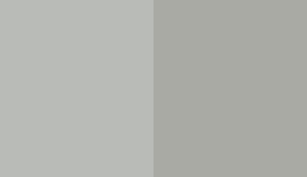 Colors Coventry Gray (HC-169) and Platinum Gray (HC-179) side by side