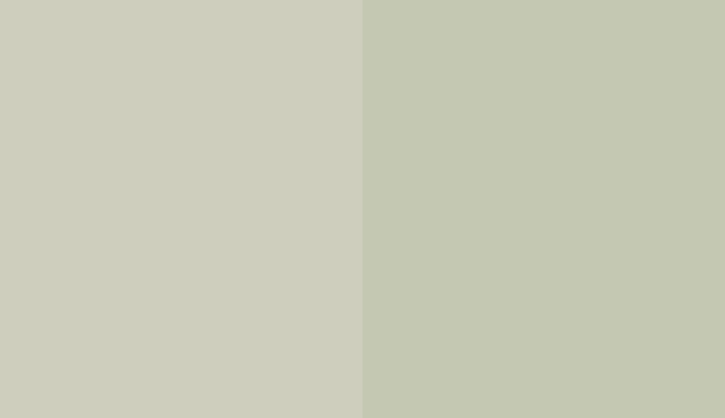 Colors Liveable green (SW 6176) and Grecian Green (507) side by side