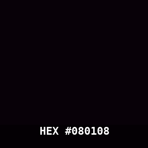 #080108 hex color swatch