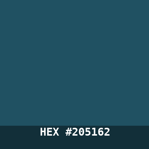 #205162 hex color swatch
