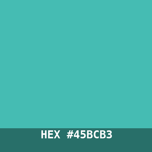 #45BCB3 hex color swatch