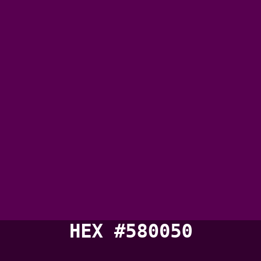 #580050 hex color swatch