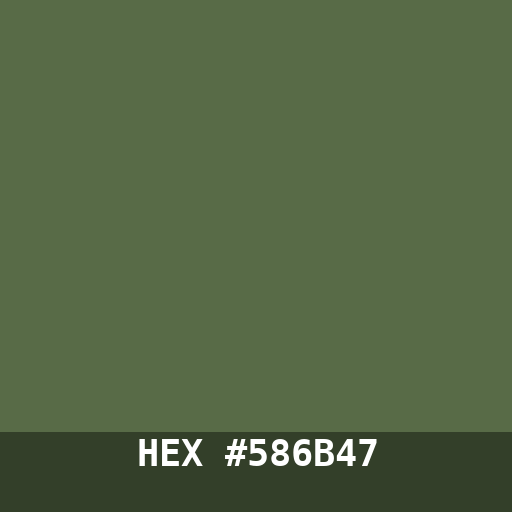 #586B47 hex color swatch