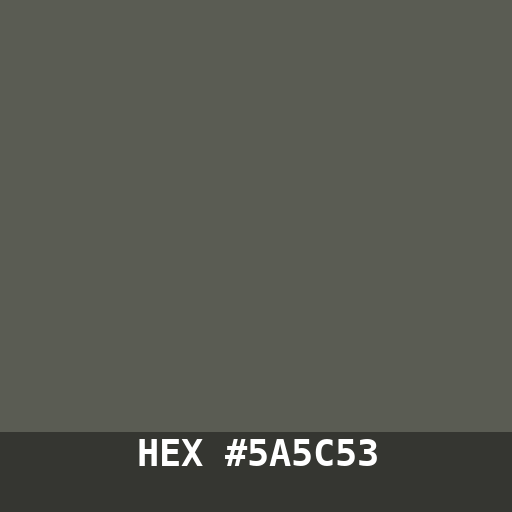 #5A5C53 hex color swatch