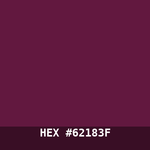 #62183F hex color swatch
