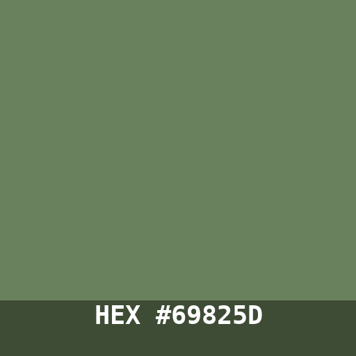 Color #69825D