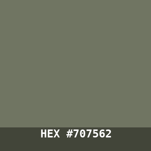 #707562 hex color swatch