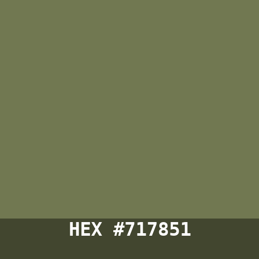 #717851 hex color swatch