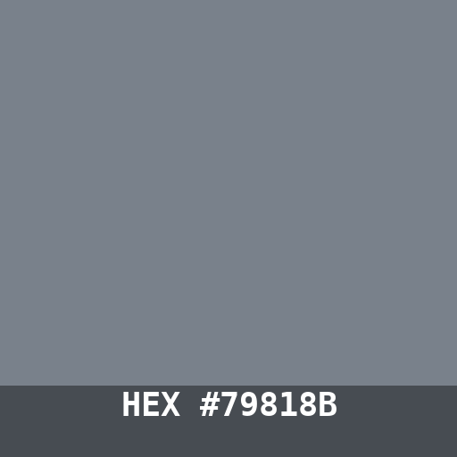 #79818B hex color swatch