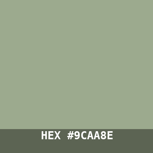 #9CAA8E hex color swatch