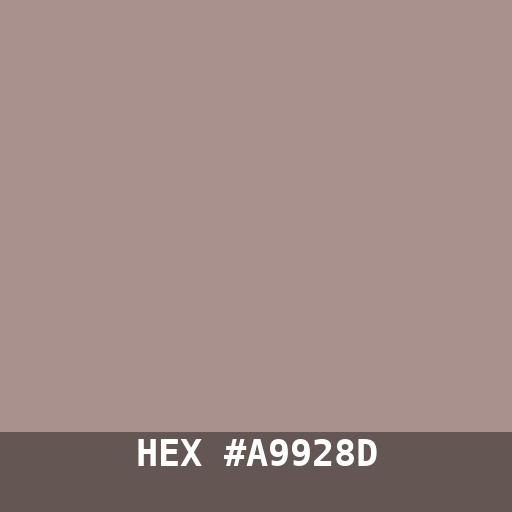#A9928D hex color swatch