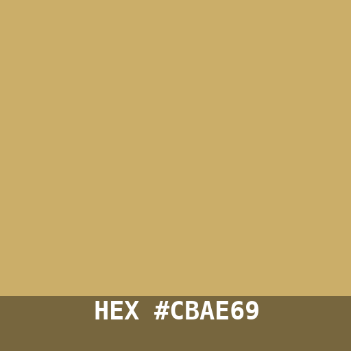 #CBAE69 hex color swatch