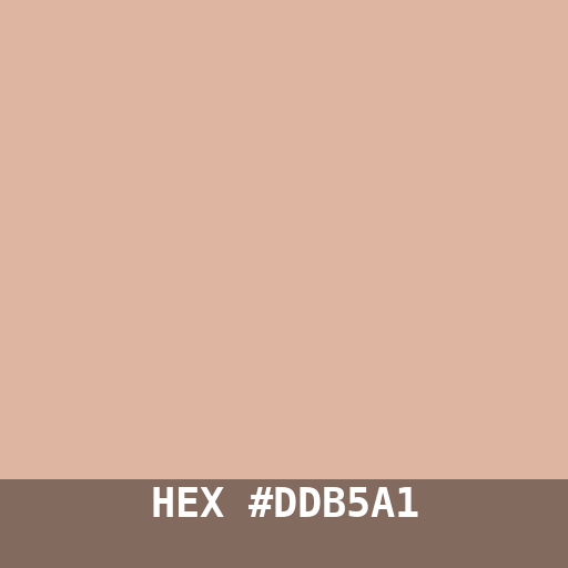 #DDB5A1 hex color swatch