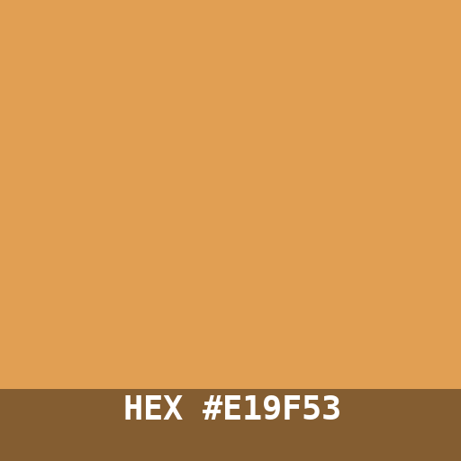 #E19F53 hex color swatch