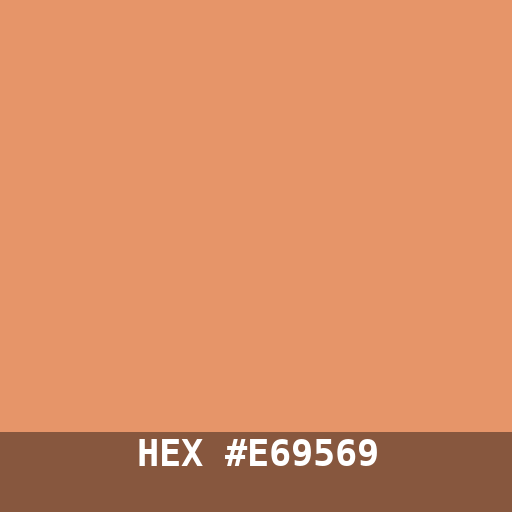 #E69569 hex color swatch