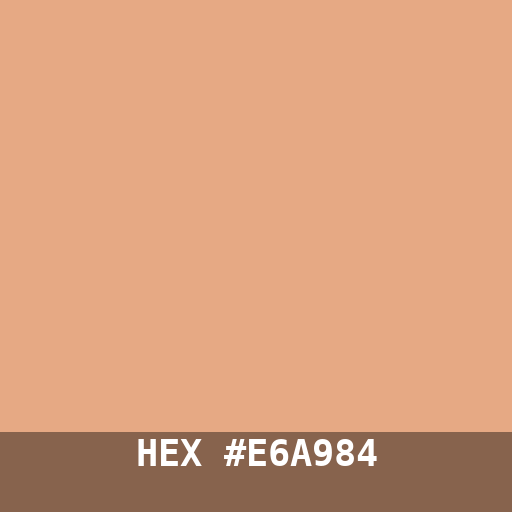 #E6A984 hex color swatch